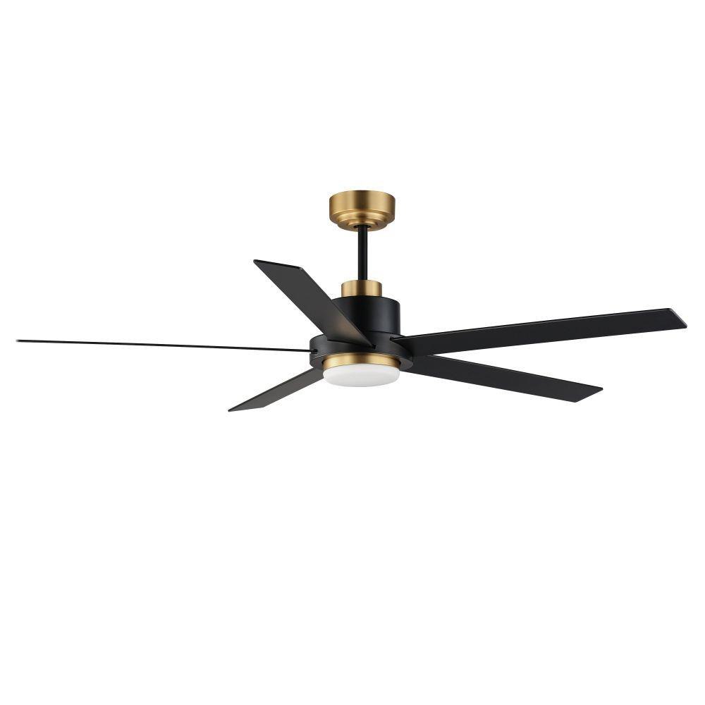 Daisy 5 Blade Ceiling Fan with Light Kit 60 Inches Wide by Maxim